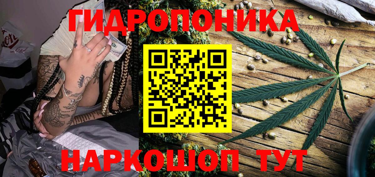 Шишки марихуана семена  Бошки Шишки планчик  Сосновоборск  Канабис марихуана  Вход с VPN 
